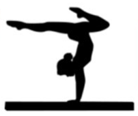 Support the NHV Gymnastics Team