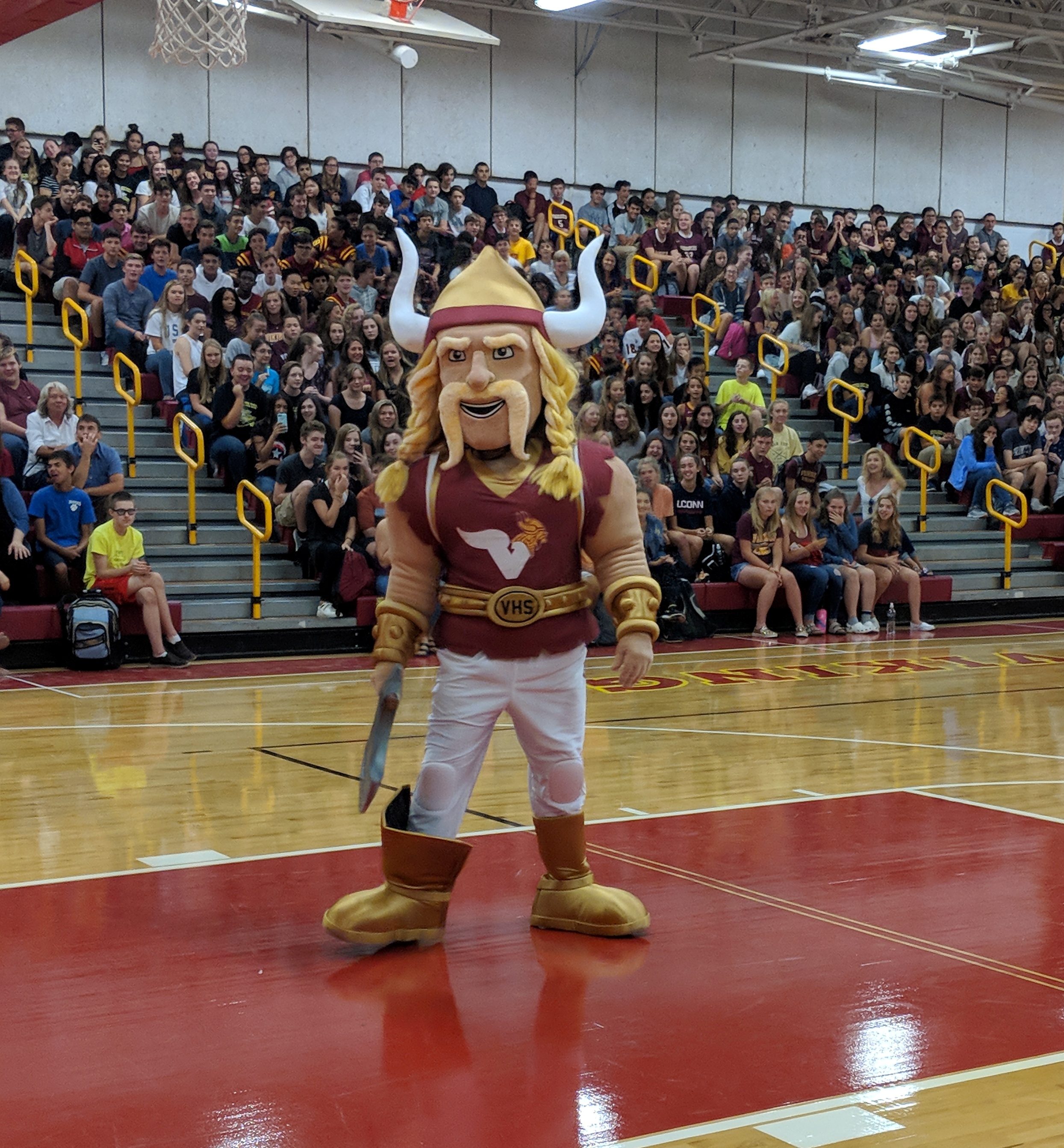 VHS Welcomes New Mascot